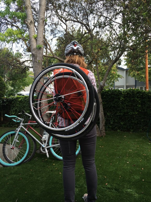 This is what 2 years of a Physics degree bought us